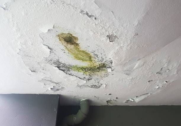 Water Damage Contractors