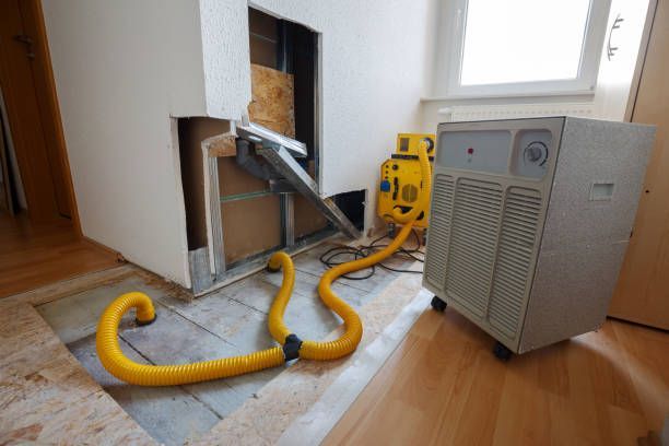 Water Damage Contractors