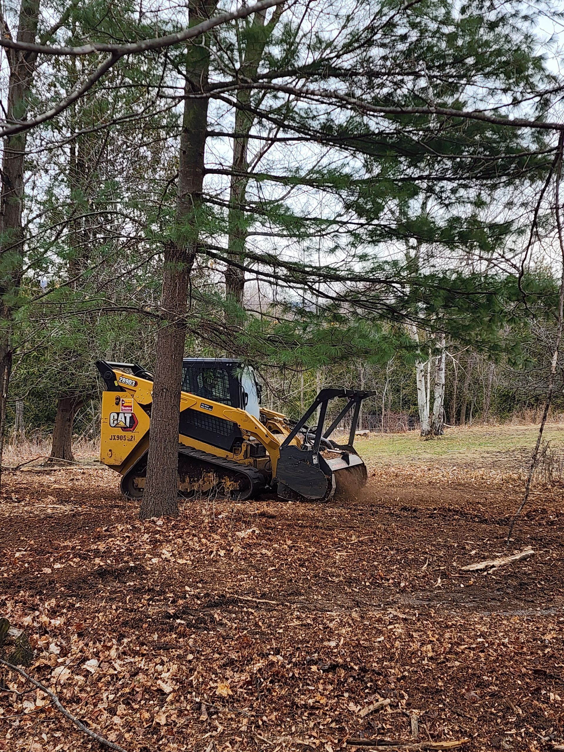 Yellow compact excavator in a wooded area covered with fallen leaves