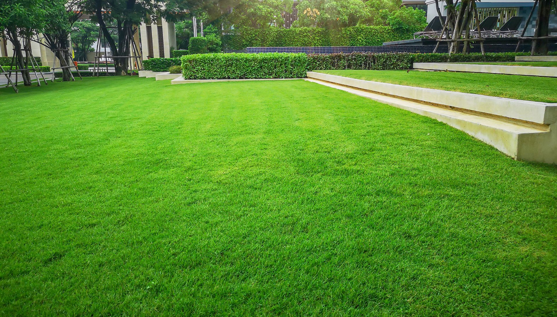 Green lawn in a park with trees and raised concrete steps along the right side.