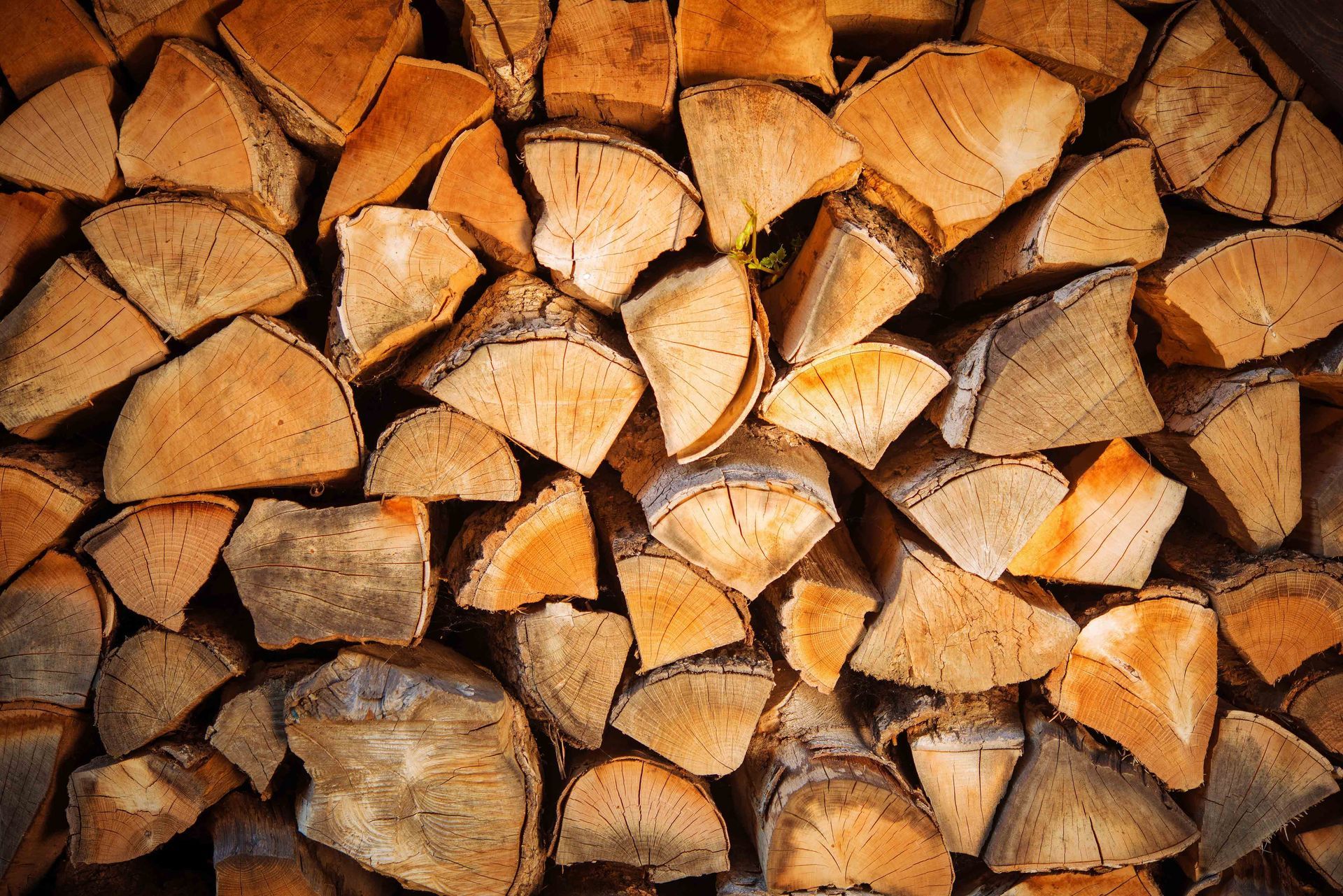 Stacked chopped firewood logs with orange-brown bark and cut ends exposed
