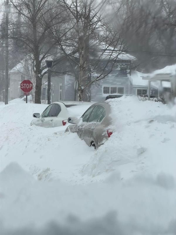 A white and red snowplow truck clearing a snow-covered suburban driveway on a sunny day. Snow-covered cars buried in deep snow on a residential street near a stop sign.