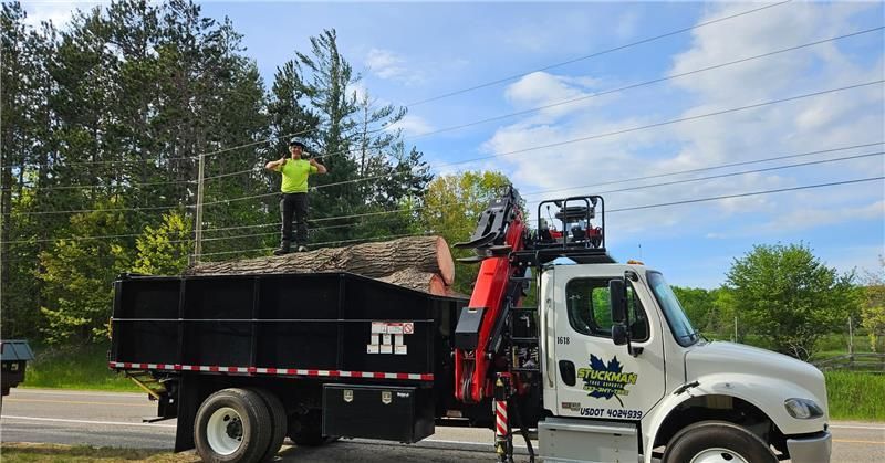 Worker standing on a dump truck loaded with brush beside a road, with a crane arm and trees in the background
