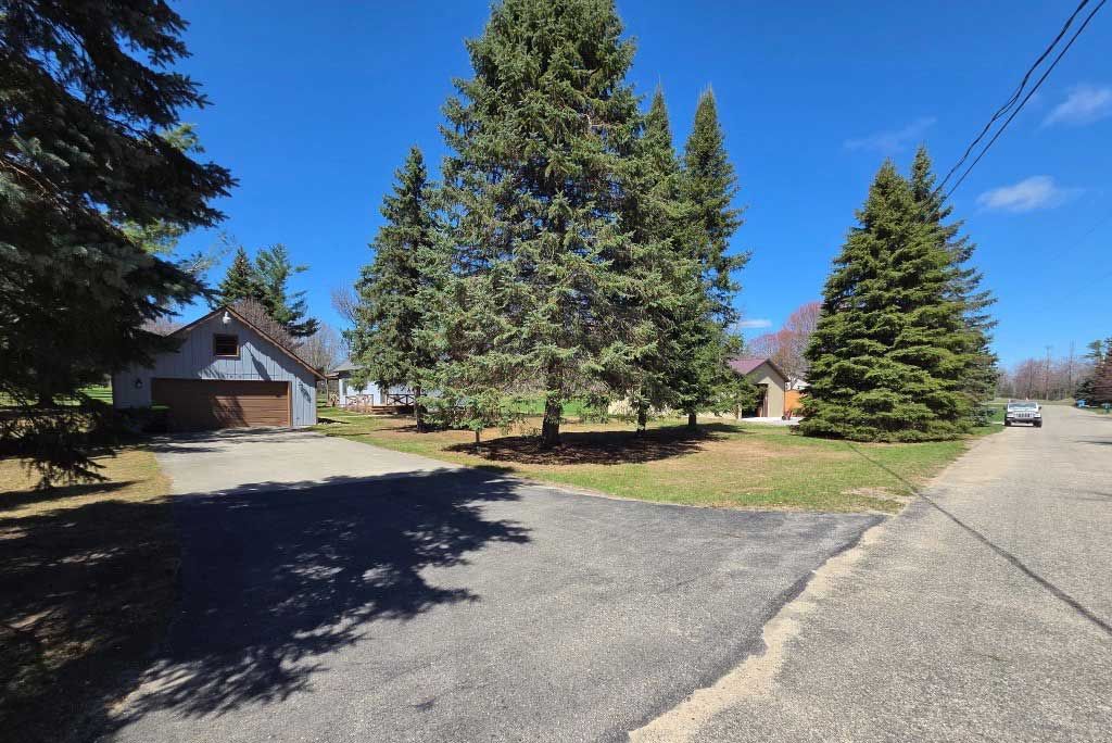 Suburban street with large evergreen trees, houses, and a paved driveway under a clear blue sky Suburban street with large evergreen trees, houses, and a paved driveway under a clear blue sky