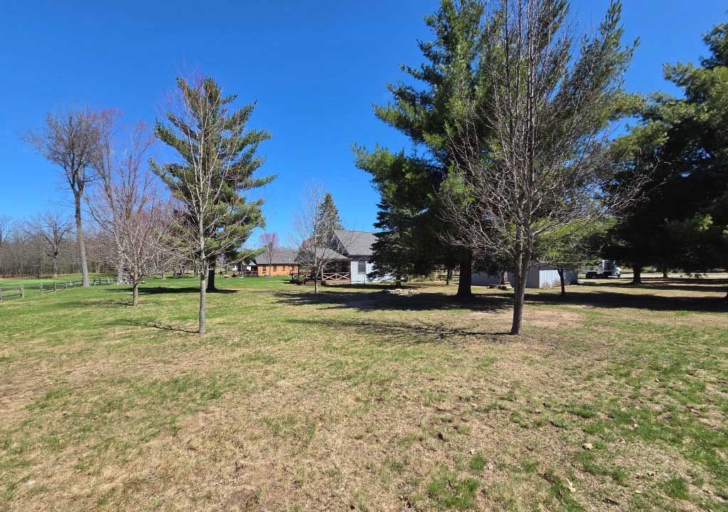 Grassy park with scattered evergreen trees under a bright blue sky