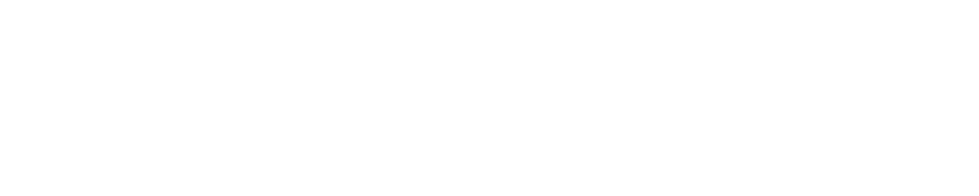 The Vision Collective The Vision Collective