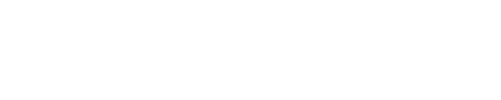 The Vision Collective The Vision Collective