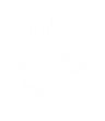The Vision Collective The Vision Collective