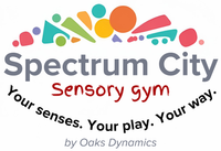 Spectrum City Sensory Gym