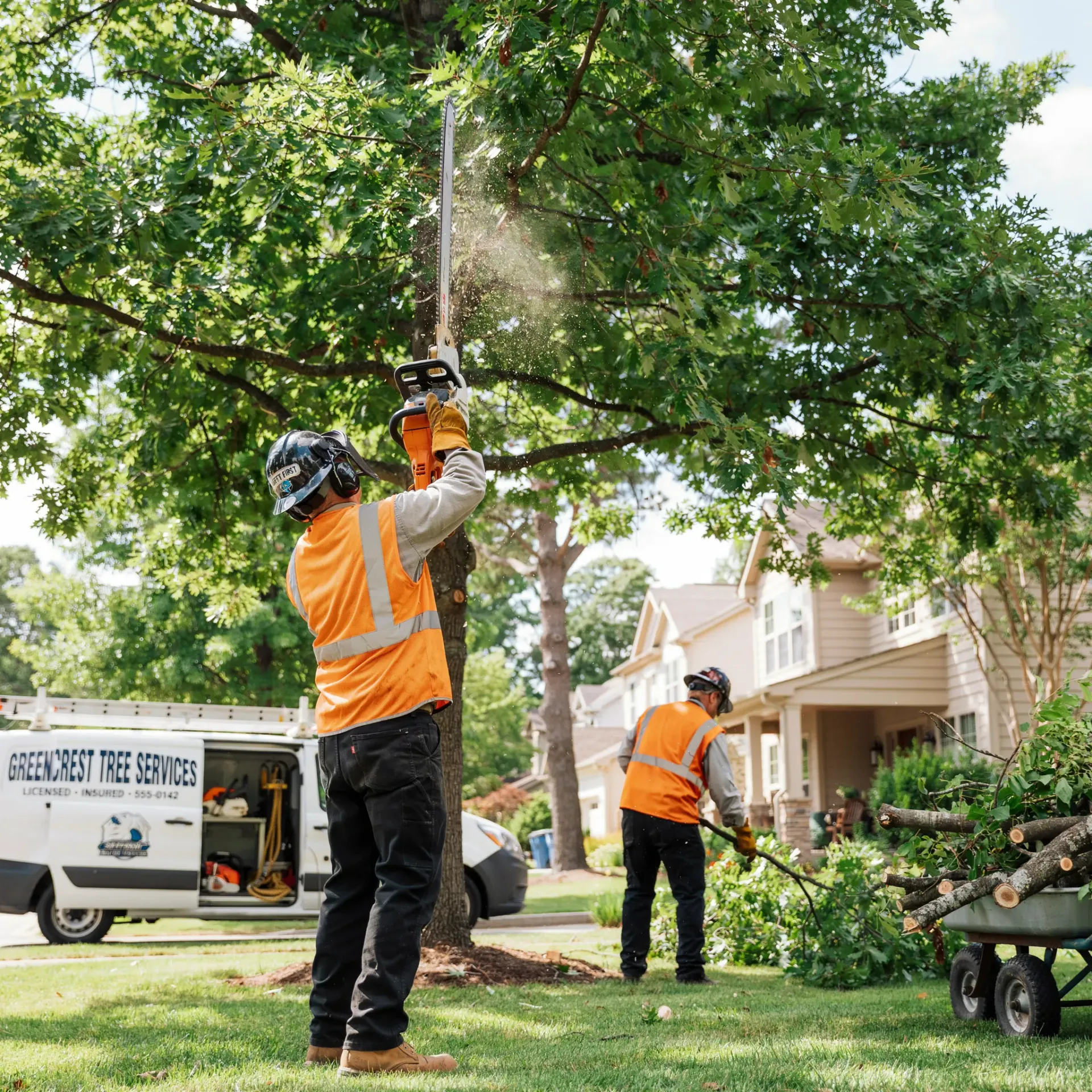 Utility workers in orange vests trimming a tree in a suburban yard with a truck and trailer nearby
