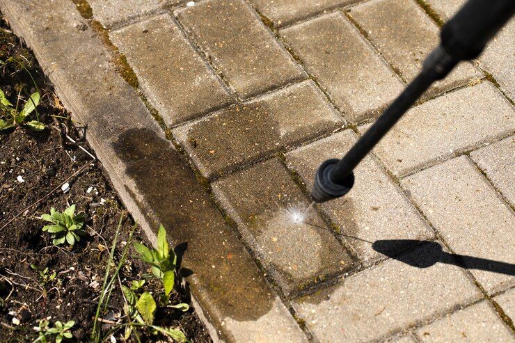 Pool area cleaning