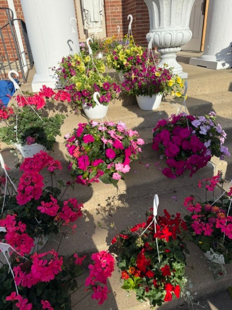 Colorful potted flowers arranged on front steps and a porch by a brick house