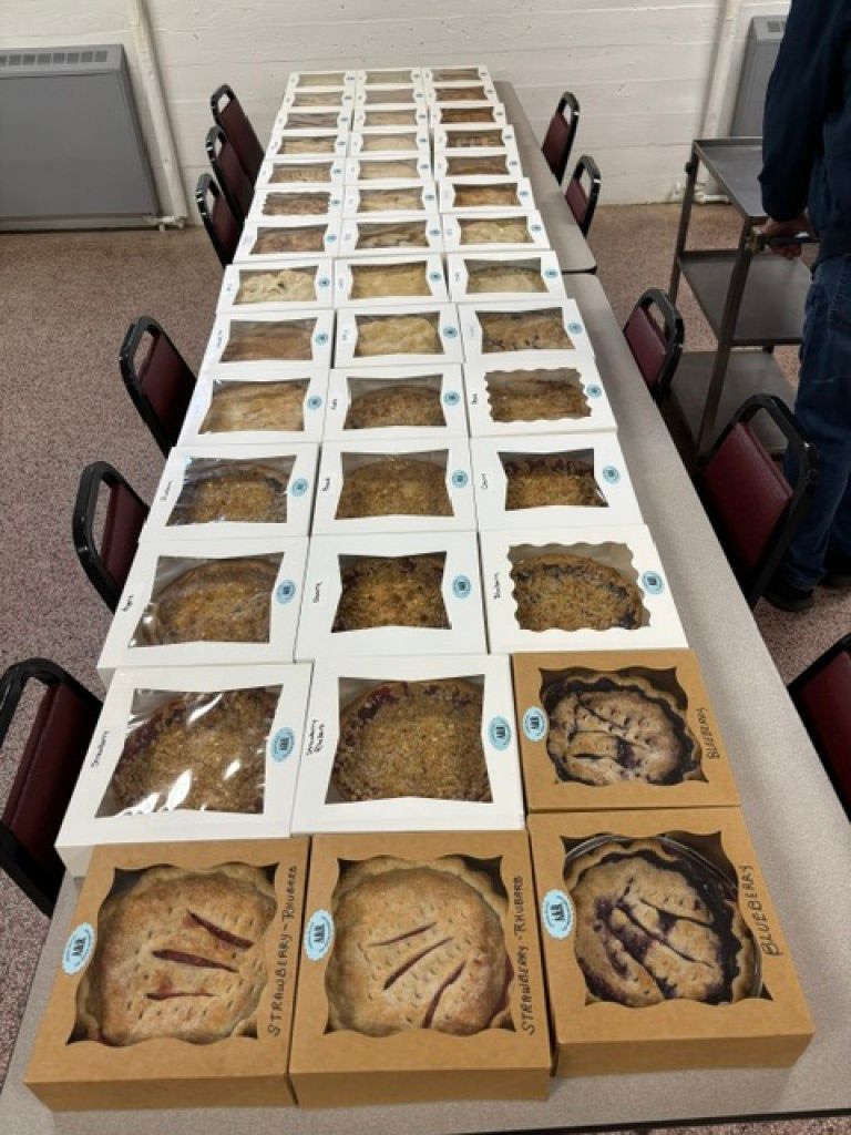 Rows of boxed fossil specimens on a long table in a lab or classroom setting
