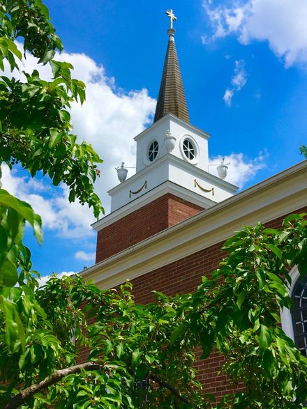 White church steeple with clock tower and cross, framed by green leaves against a blue sky