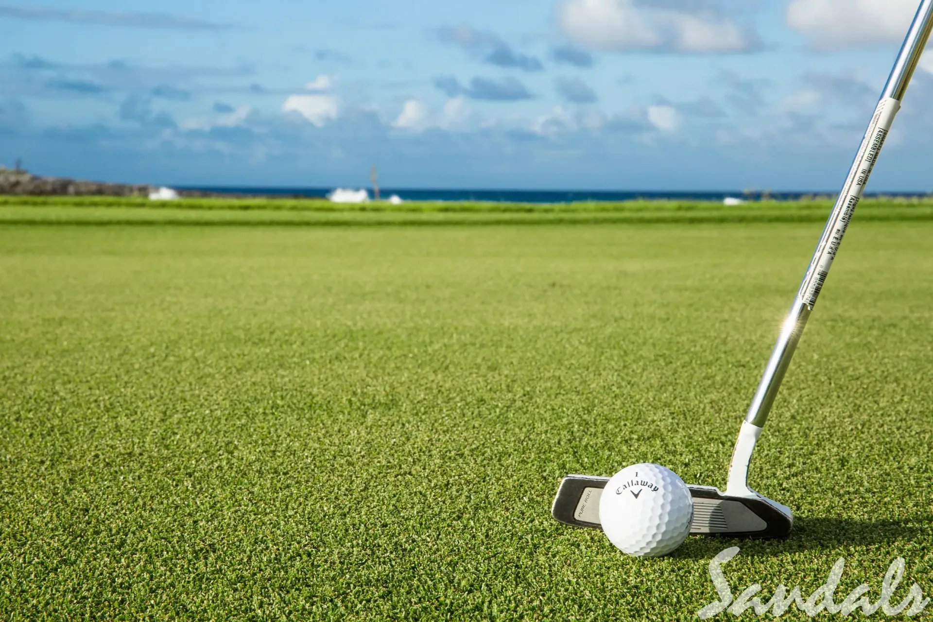 Golf ball and putter on a green course with blue sky in the background