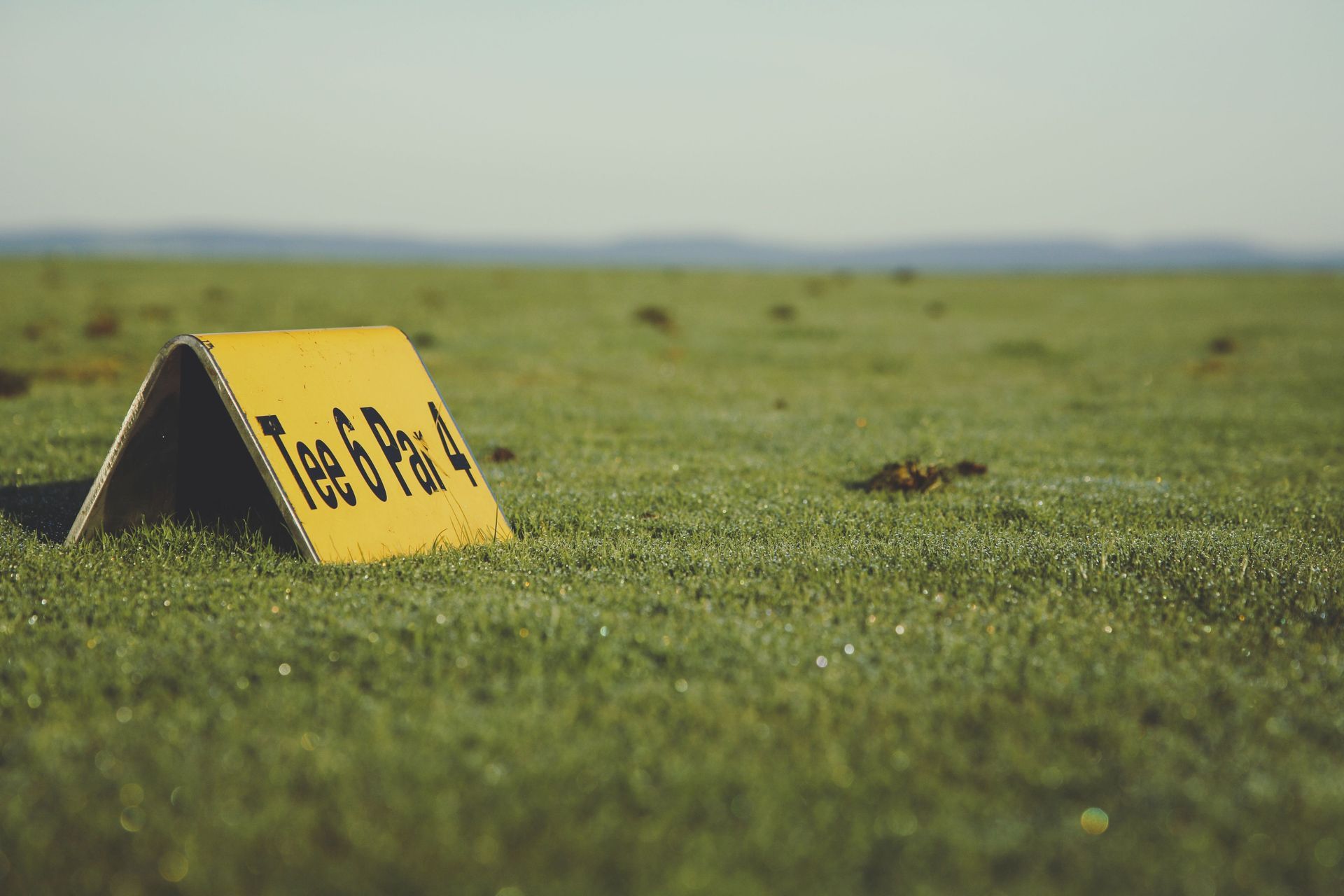Yellow caution sign in a grassy field with blurred horizon in the background