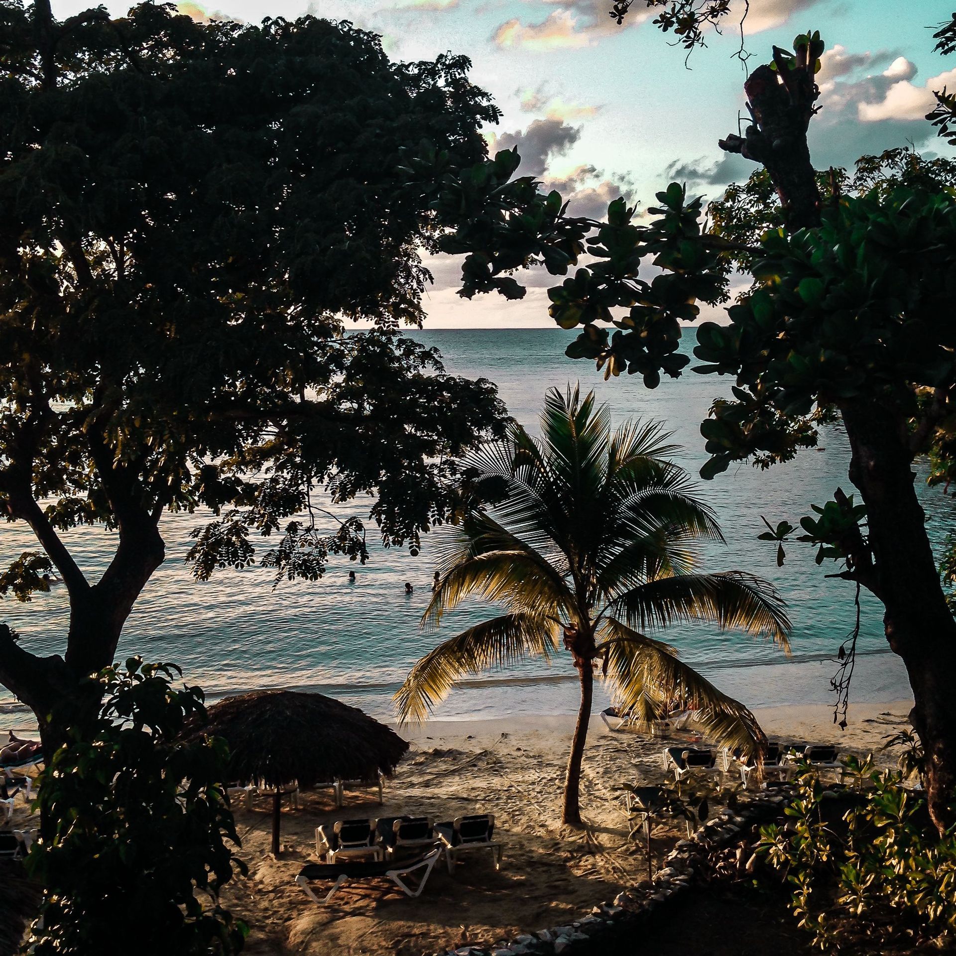 Shaded tropical beach with palm trees, calm sea, and cloudy sunset sky