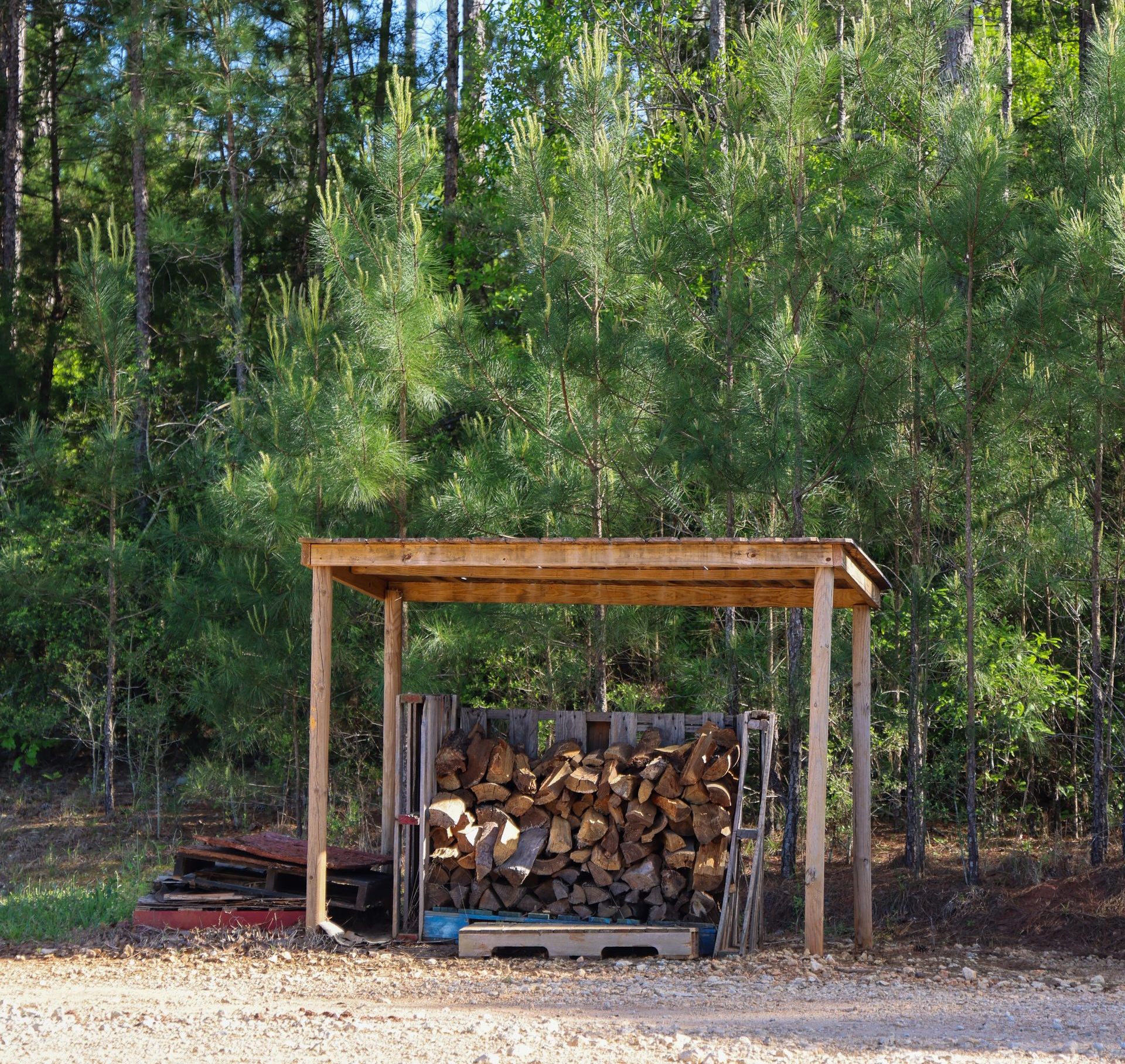 Wooded backyard with a small wood shed stocked with logs beneath tall trees