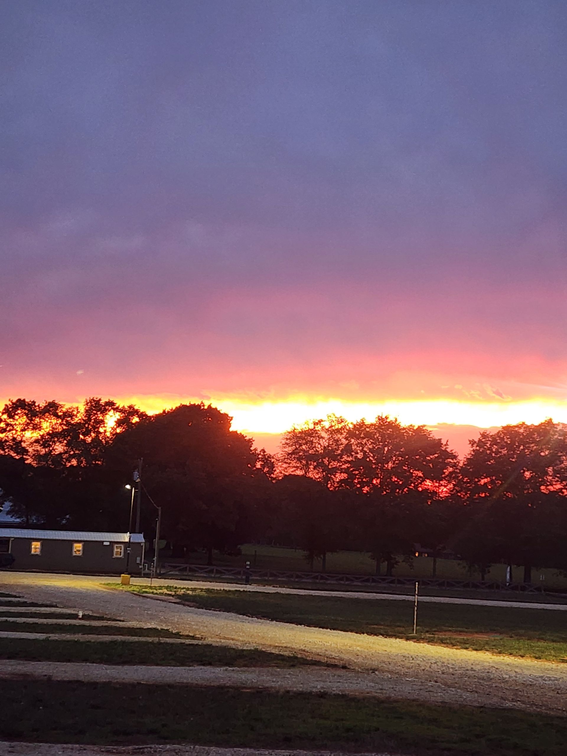 Sunset over silhouetted trees with a bright orange horizon and purple sky above a dim field.