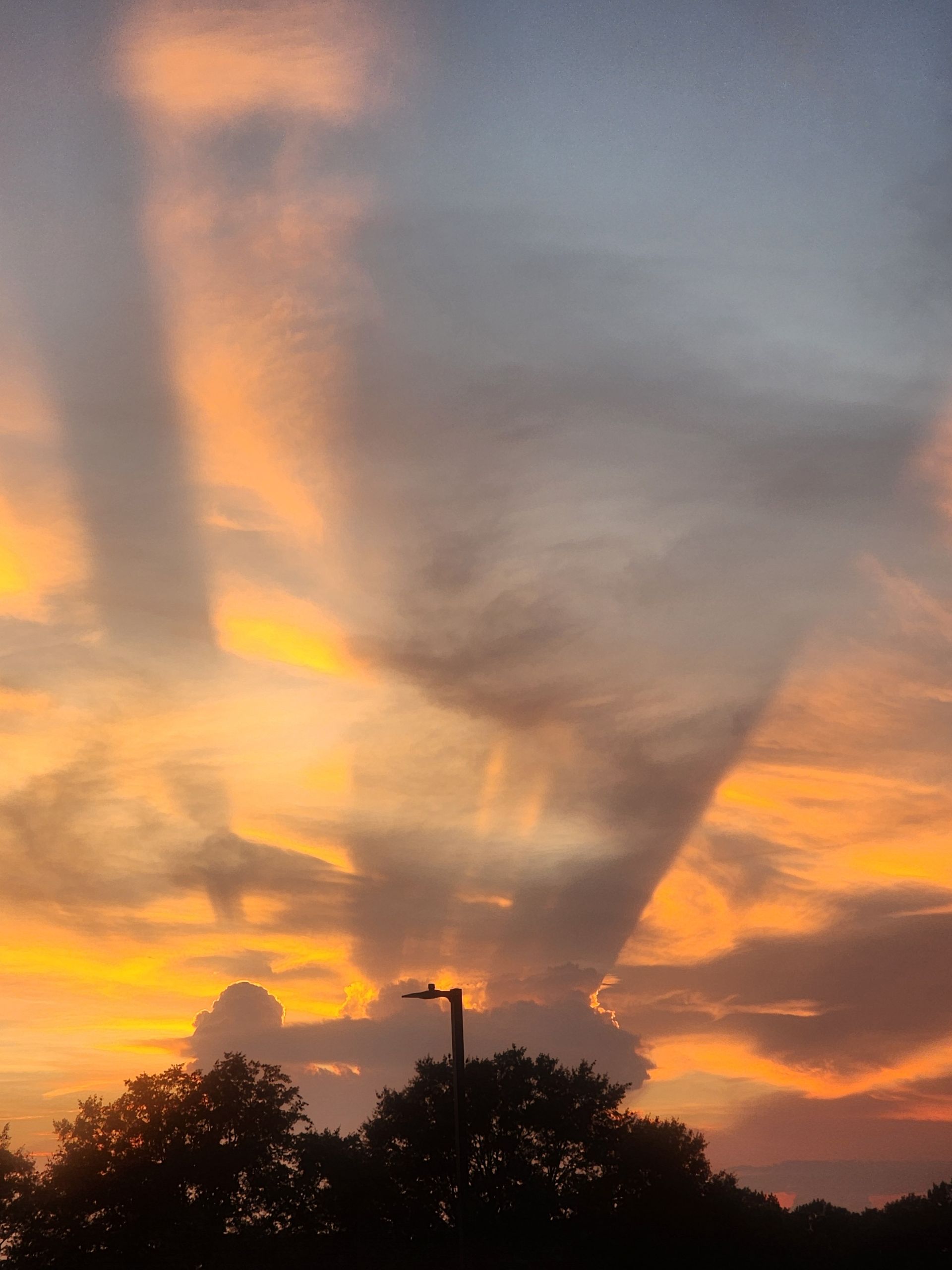 Orange sunset sky with streaked clouds above dark tree silhouettes and a streetlight.