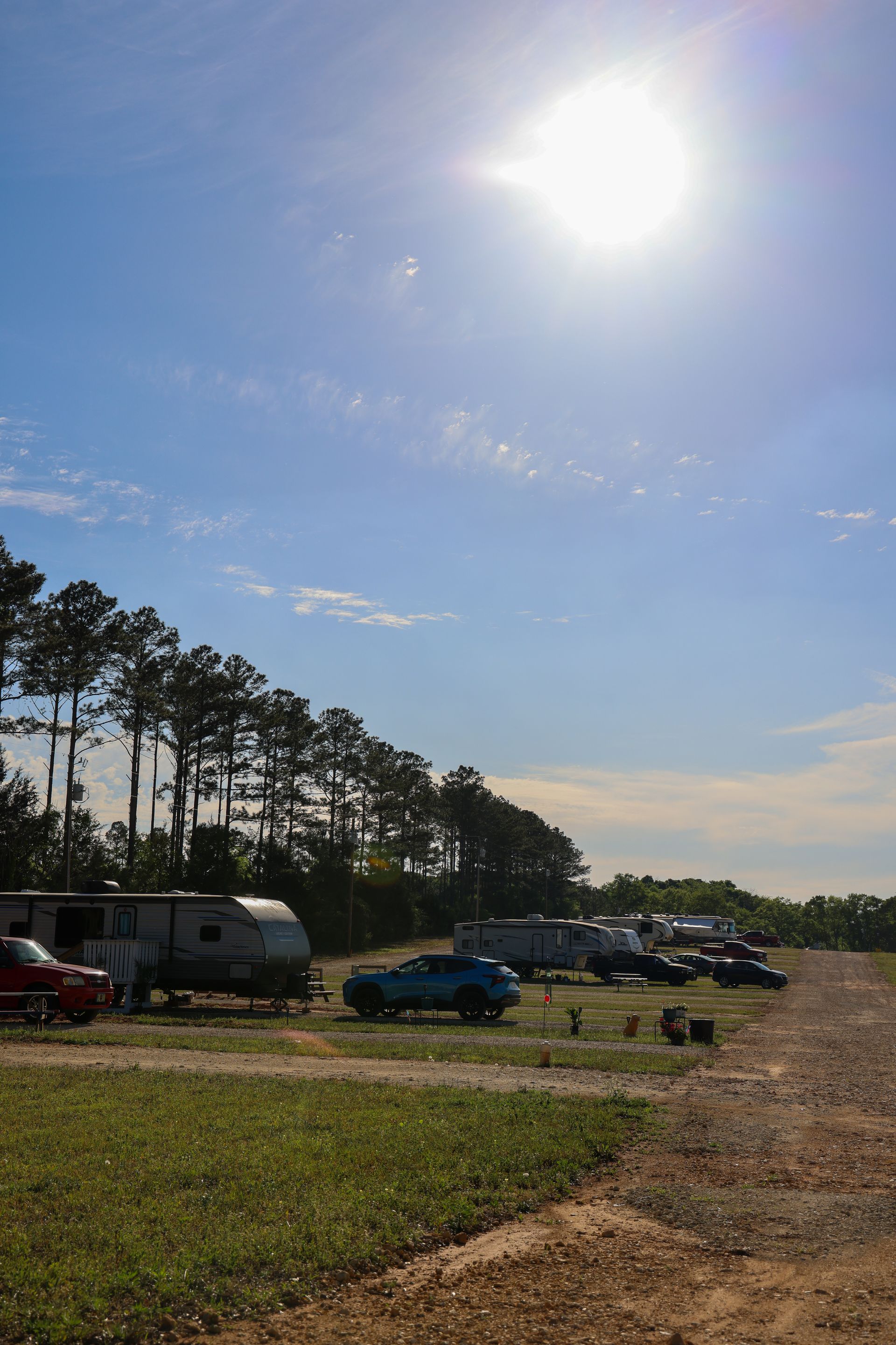 Sunny open field with parked cars and an RV beside pine trees under a bright blue sky