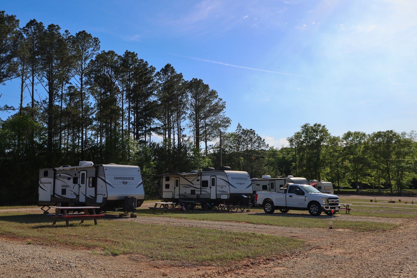 RVs and a pickup truck parked on a grassy lot beside tall pine trees under a bright blue sky