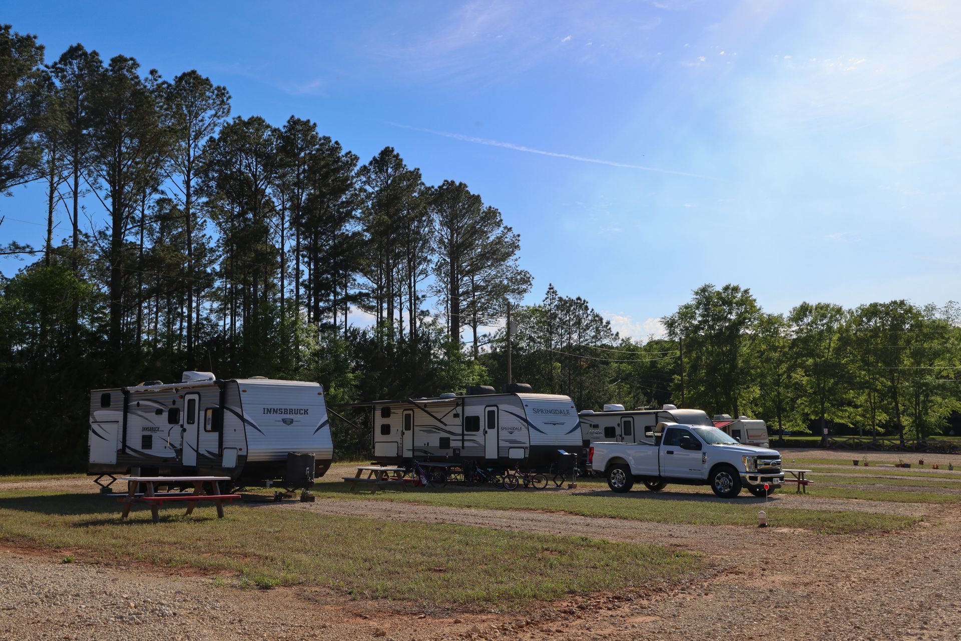 Two white RV campers and a pickup truck parked on a grassy lot by tall pine trees under a blue sky