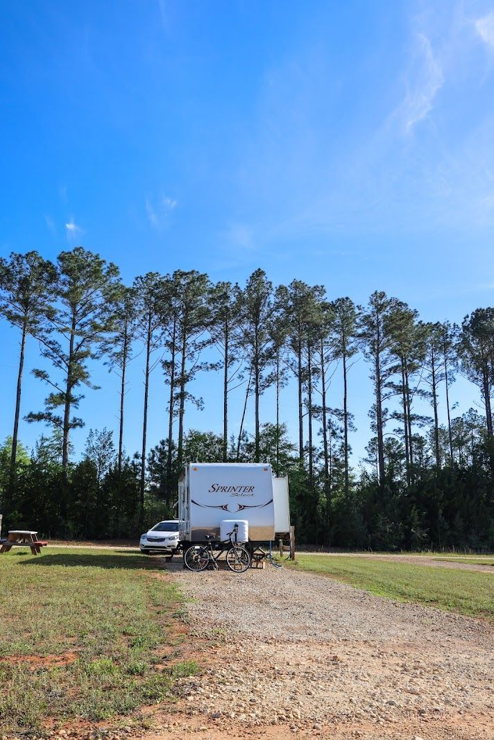 White camper parked on a gravel path in a grassy field, with tall pine trees and a blue sky.