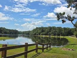 Wooden fence beside a calm lake with trees and a bright blue sky with clouds