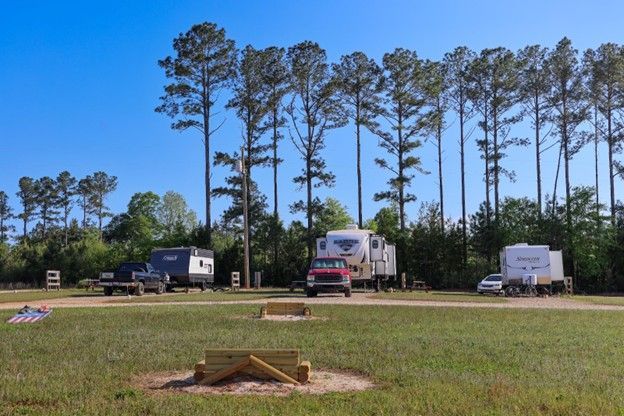 Several trucks and trailers parked in a grassy field with tall pine trees under a clear blue sky