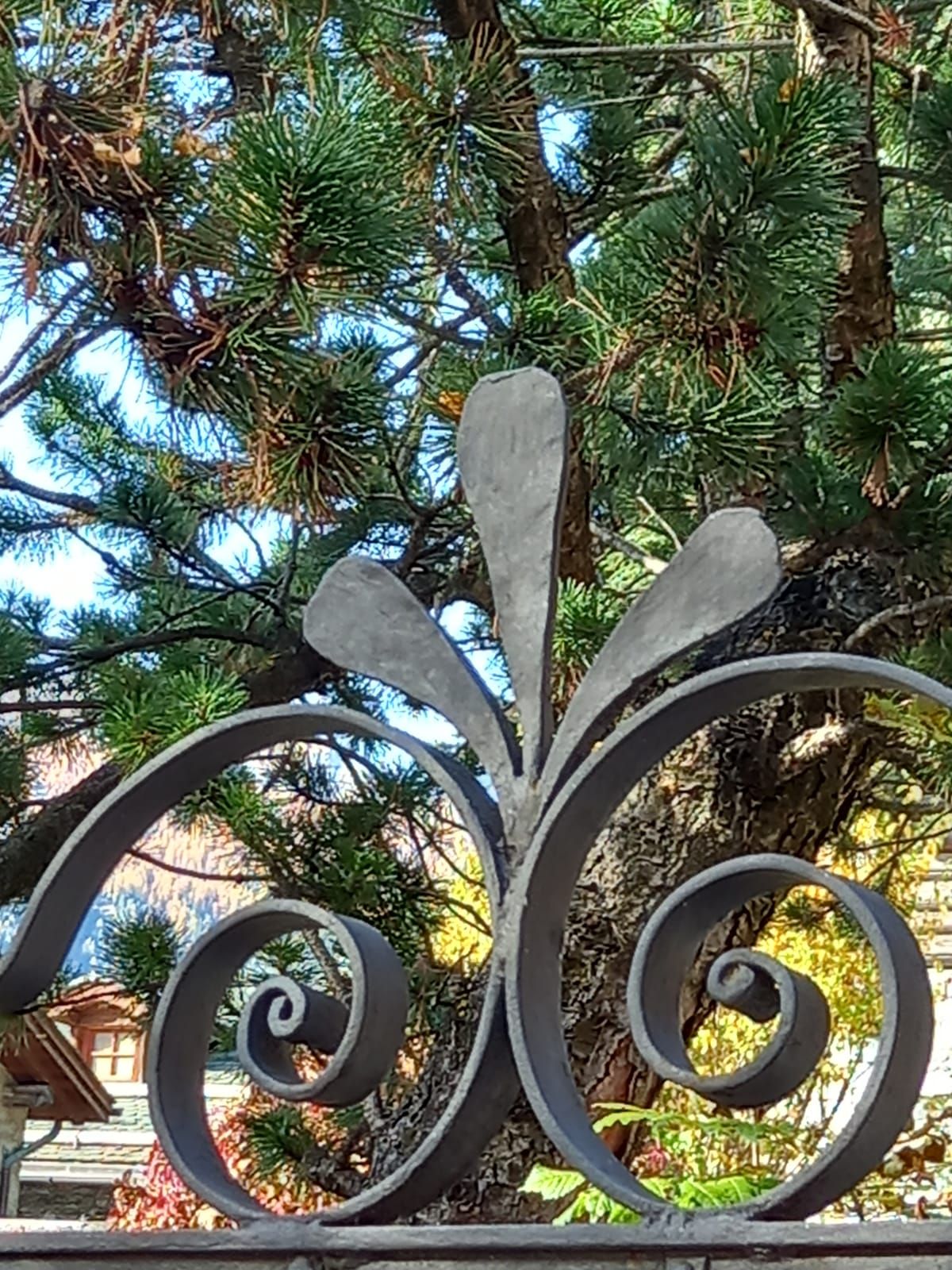 Una recinzione in ferro battuto con un albero sullo sfondo