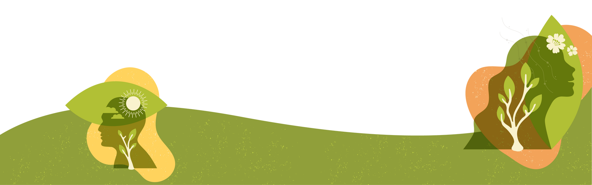 A row of trees in a grassy field on a white background.