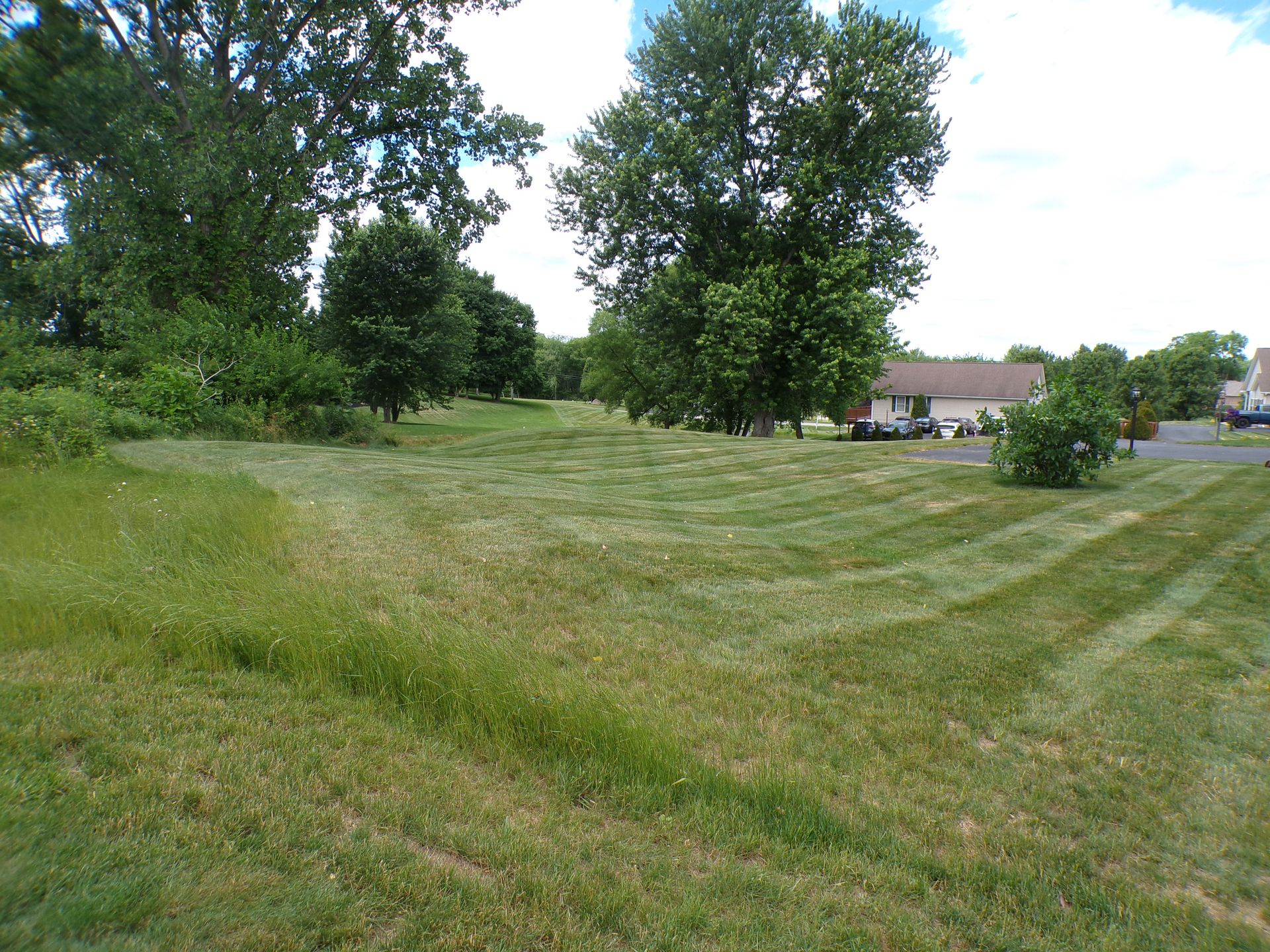 Grassy field with trees and a few buildings in the distance under a cloudy sky