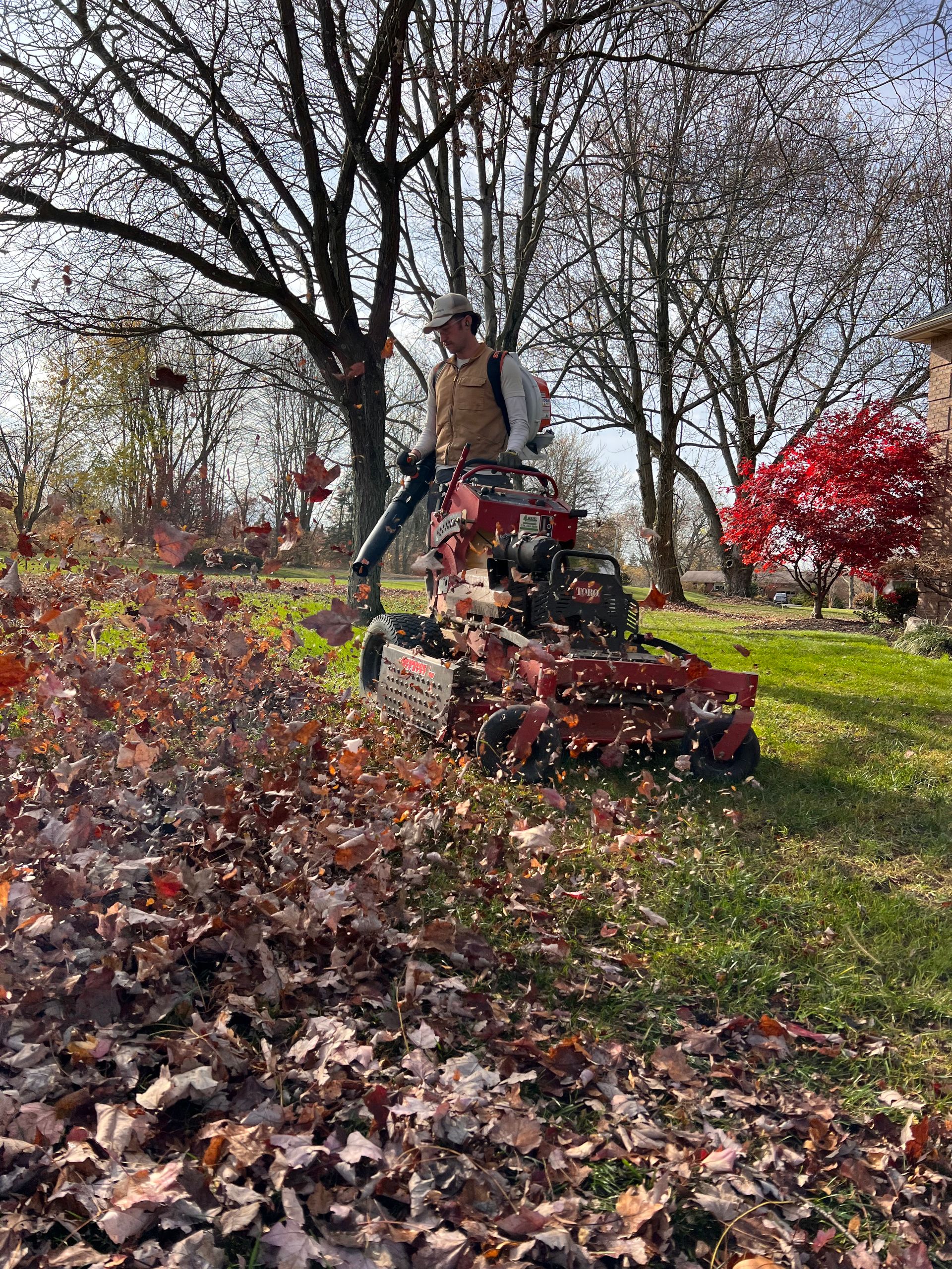 Person on a lawn mower clearing autumn leaves in a park with bare trees and red foliage
