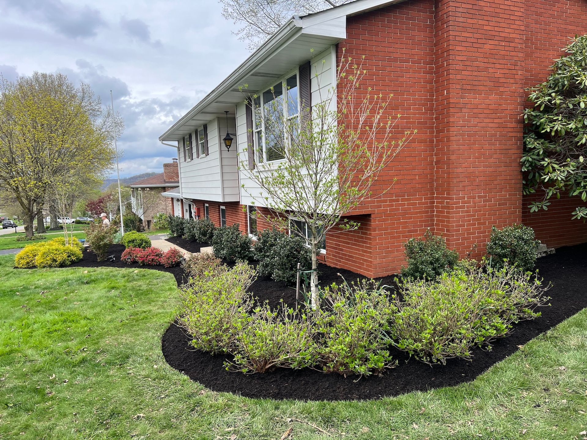 Suburban house with red brick and white siding, bordered by landscaped shrubs and mulched garden beds