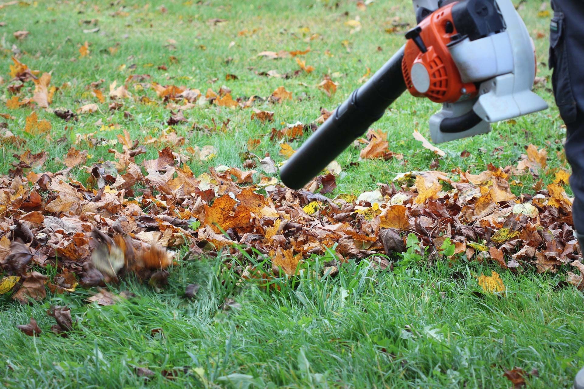 Person using a leaf blower to clear autumn leaves from a grassy yard