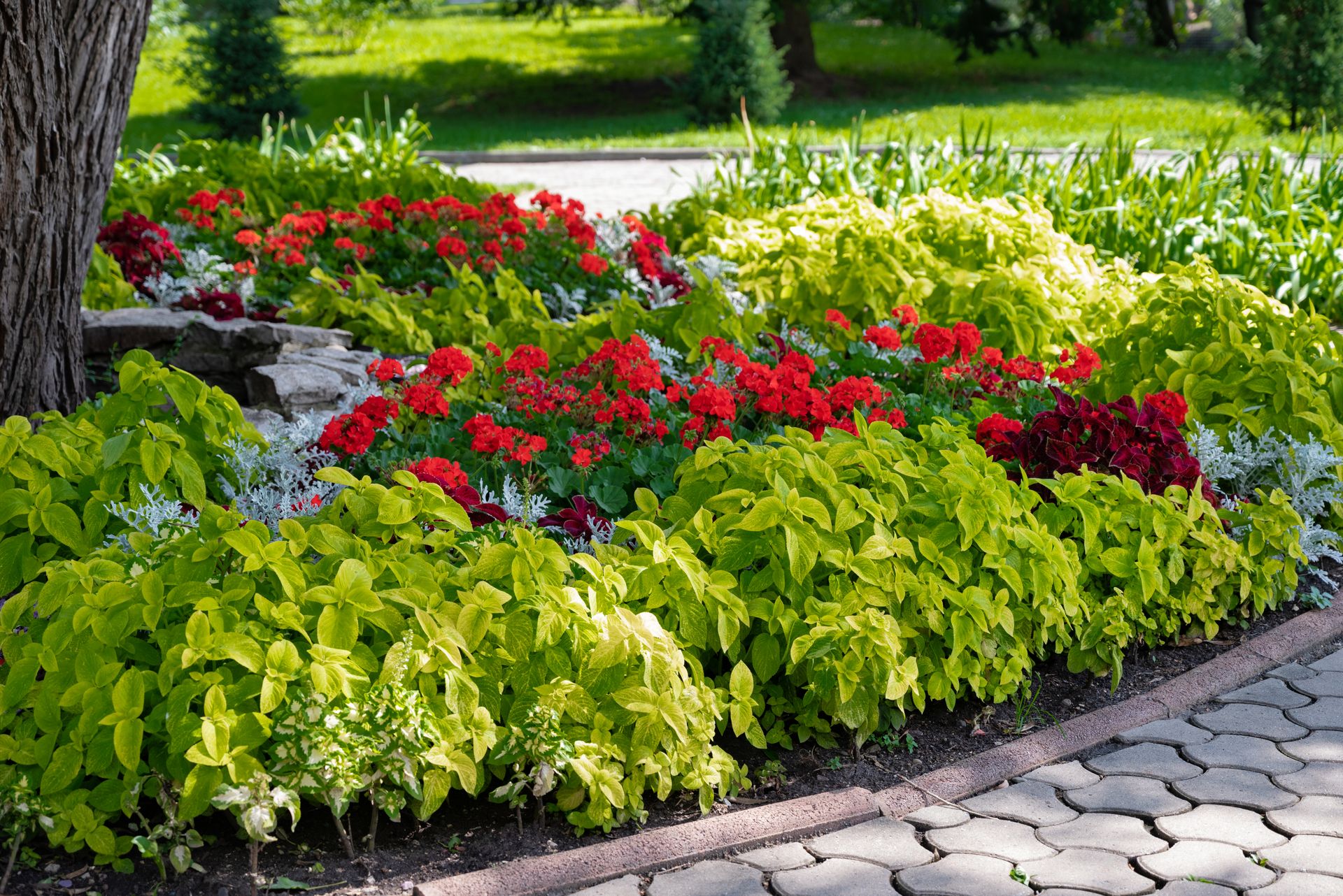 Colorful flower bed with red blooms and green foliage beside a stone path in a sunny garden