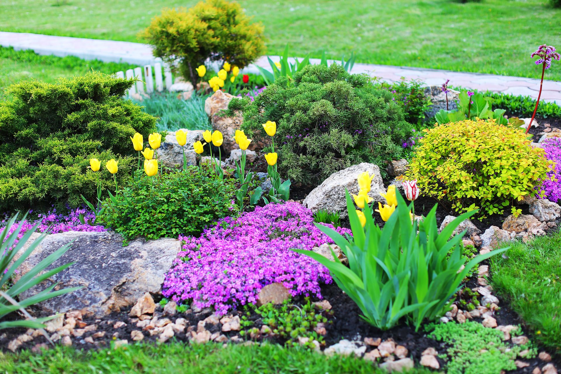 Colorful flower garden with purple, yellow, and green plants along a stone border