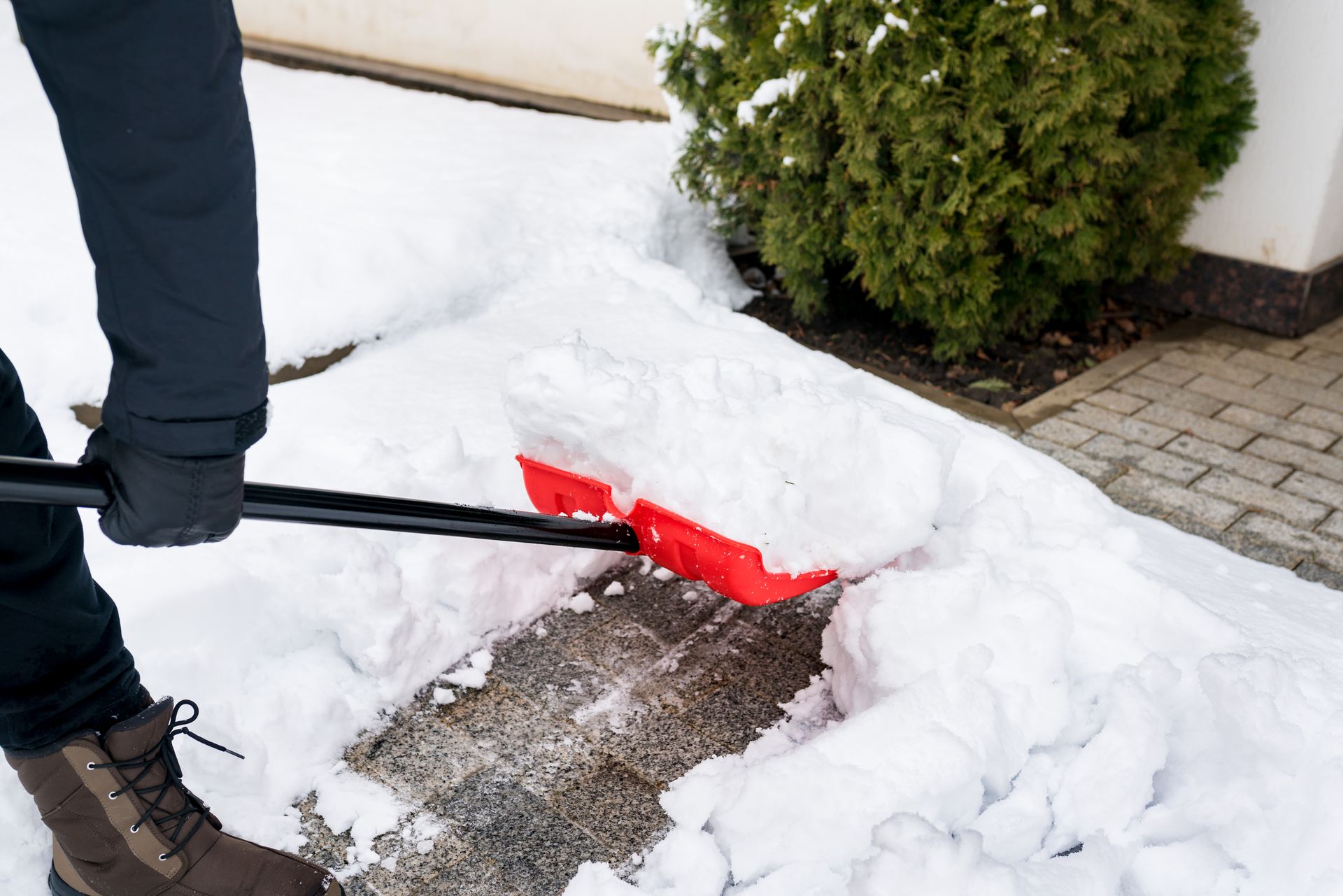 Person shoveling snow from a walkway with a red shovel beside a bush and house wall