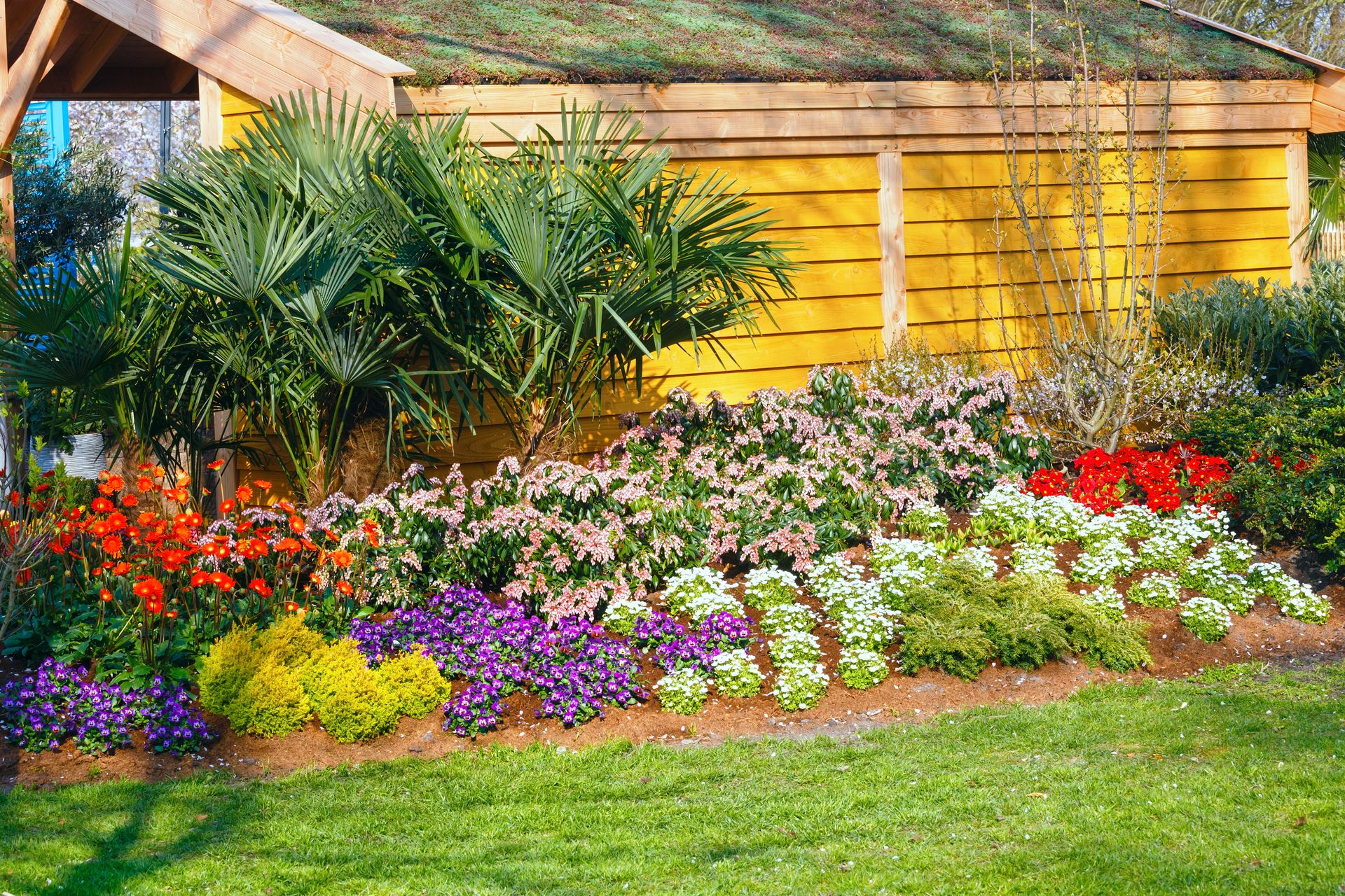 Colorful flower garden with red, purple, pink, and yellow blooms beside a wooden fence and green lawn