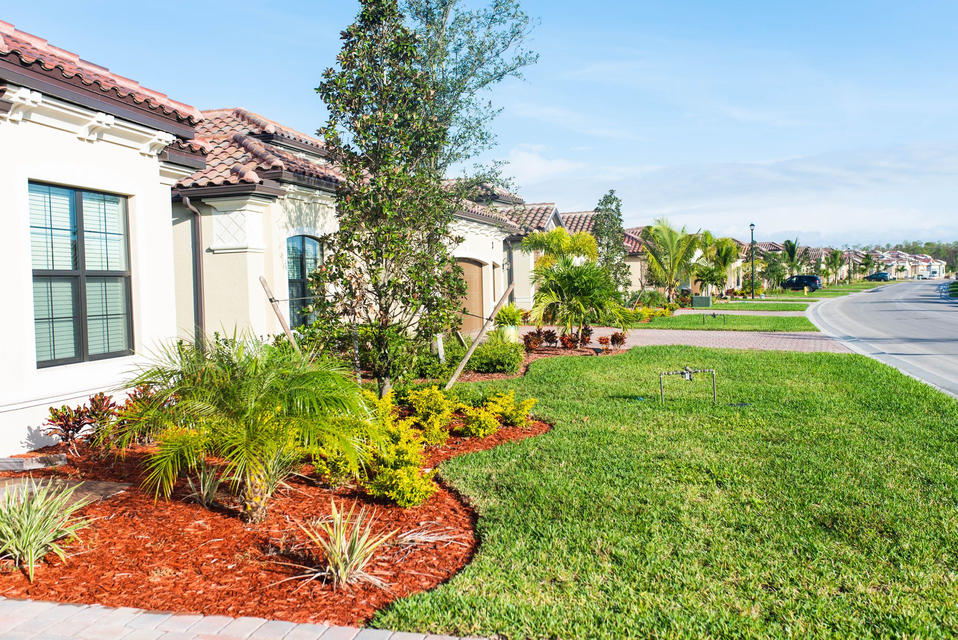 Landscaped suburban homes with green lawns, red mulch, and a quiet street under a bright sky