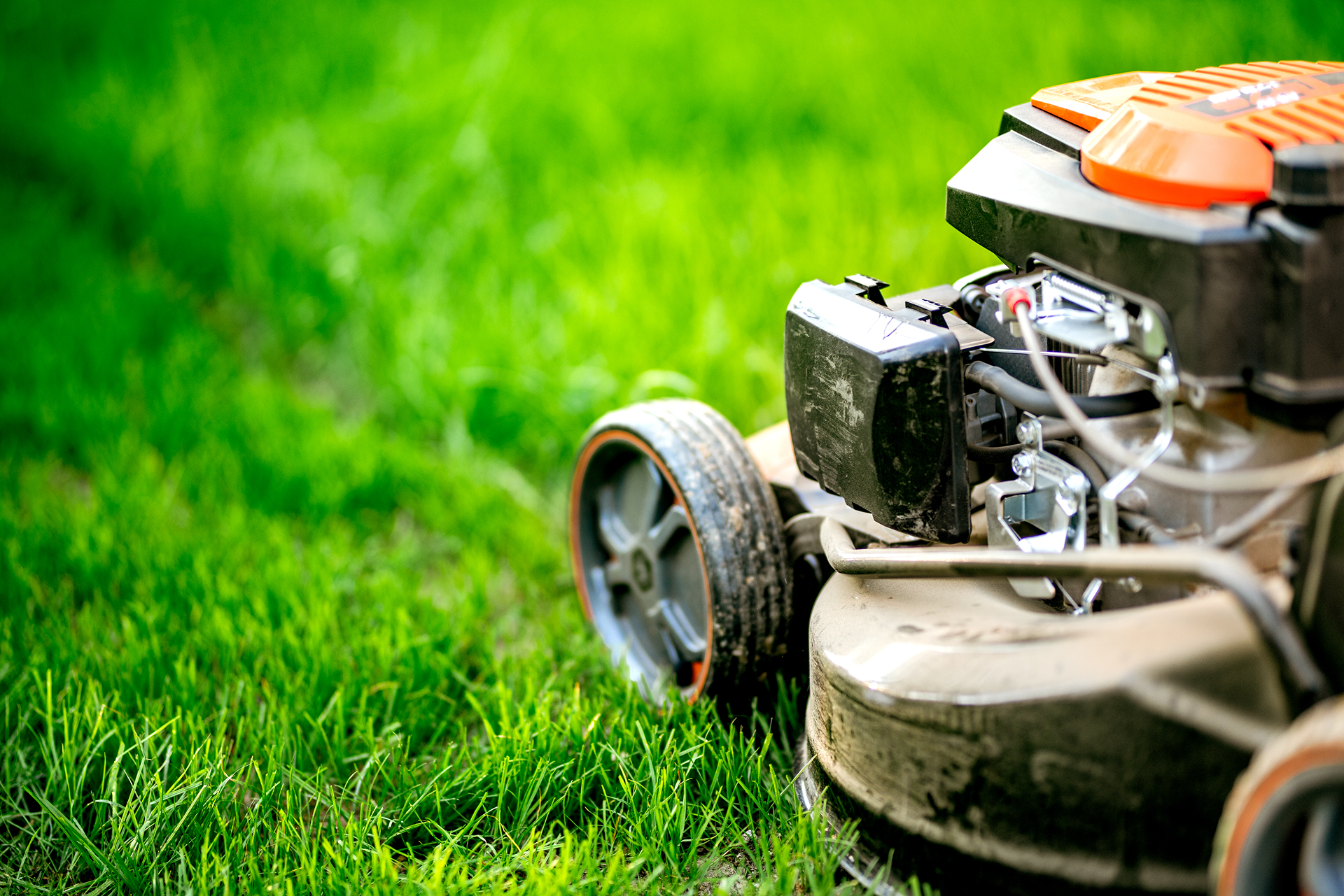 Close-up of a lawn mower cutting bright green grass