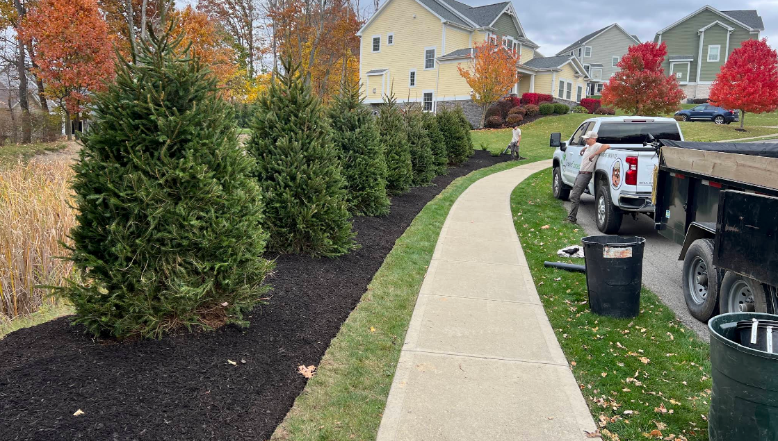 Curved concrete sidewalk beside newly planted evergreens and a parked work truck in a suburban neighborhood