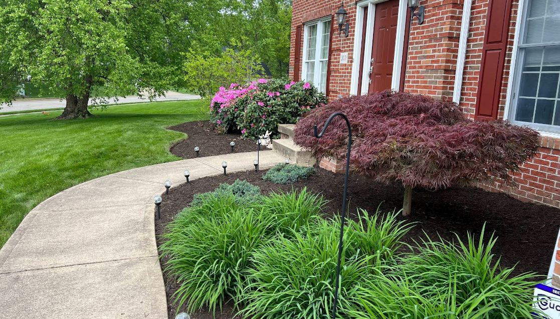 Curved concrete walkway beside a brick house with green landscaping and pink flowering shrubs