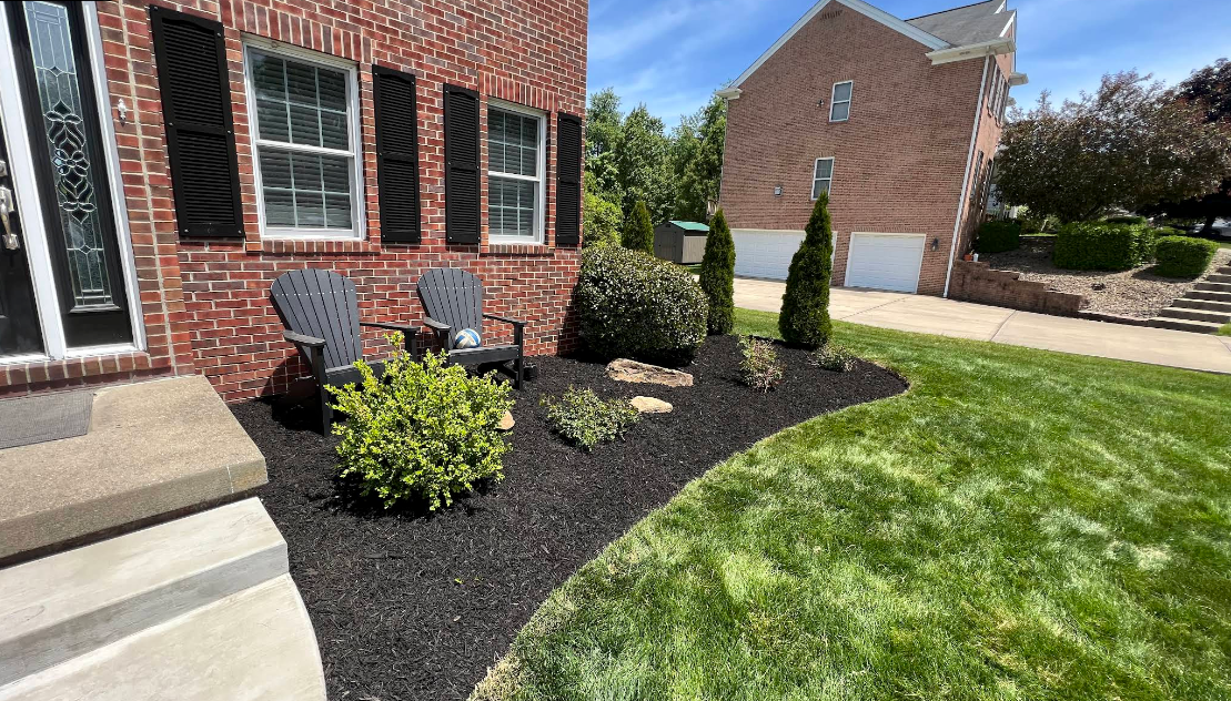 Brick house front yard with black mulch beds, shrubs, and a green lawn beside a driveway