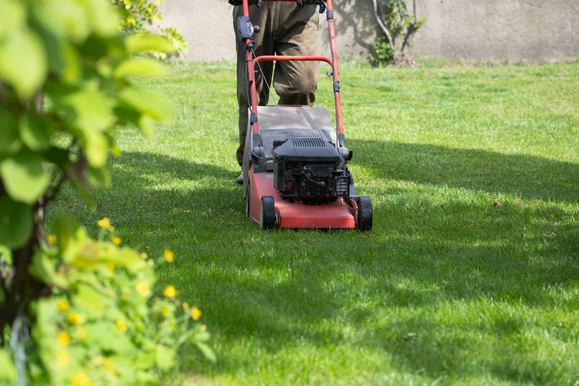 Person mowing a green lawn with a red push mower in a sunny yard
