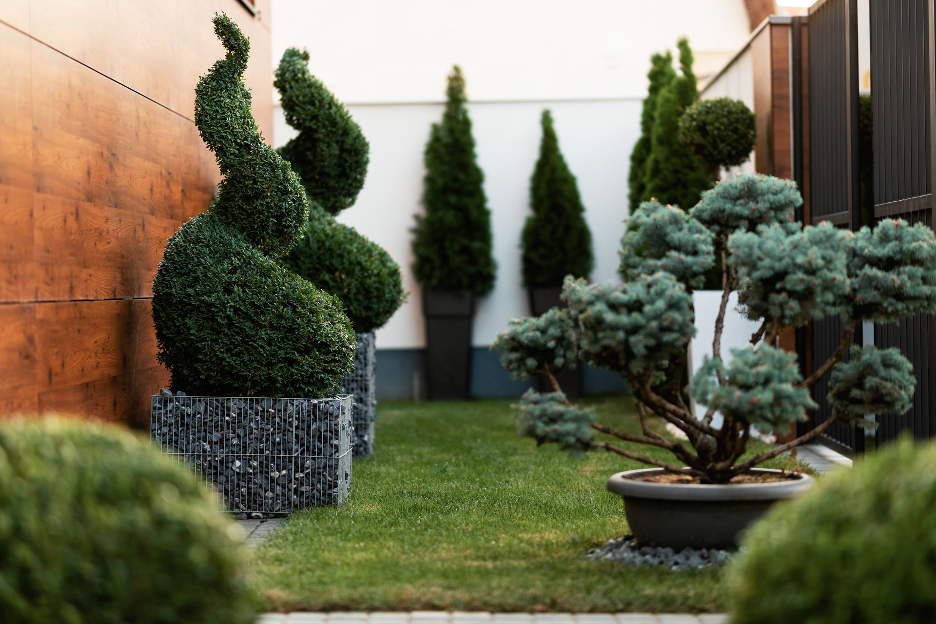 Topiary garden with sculpted shrubs and bonsai trees along a narrow grass path