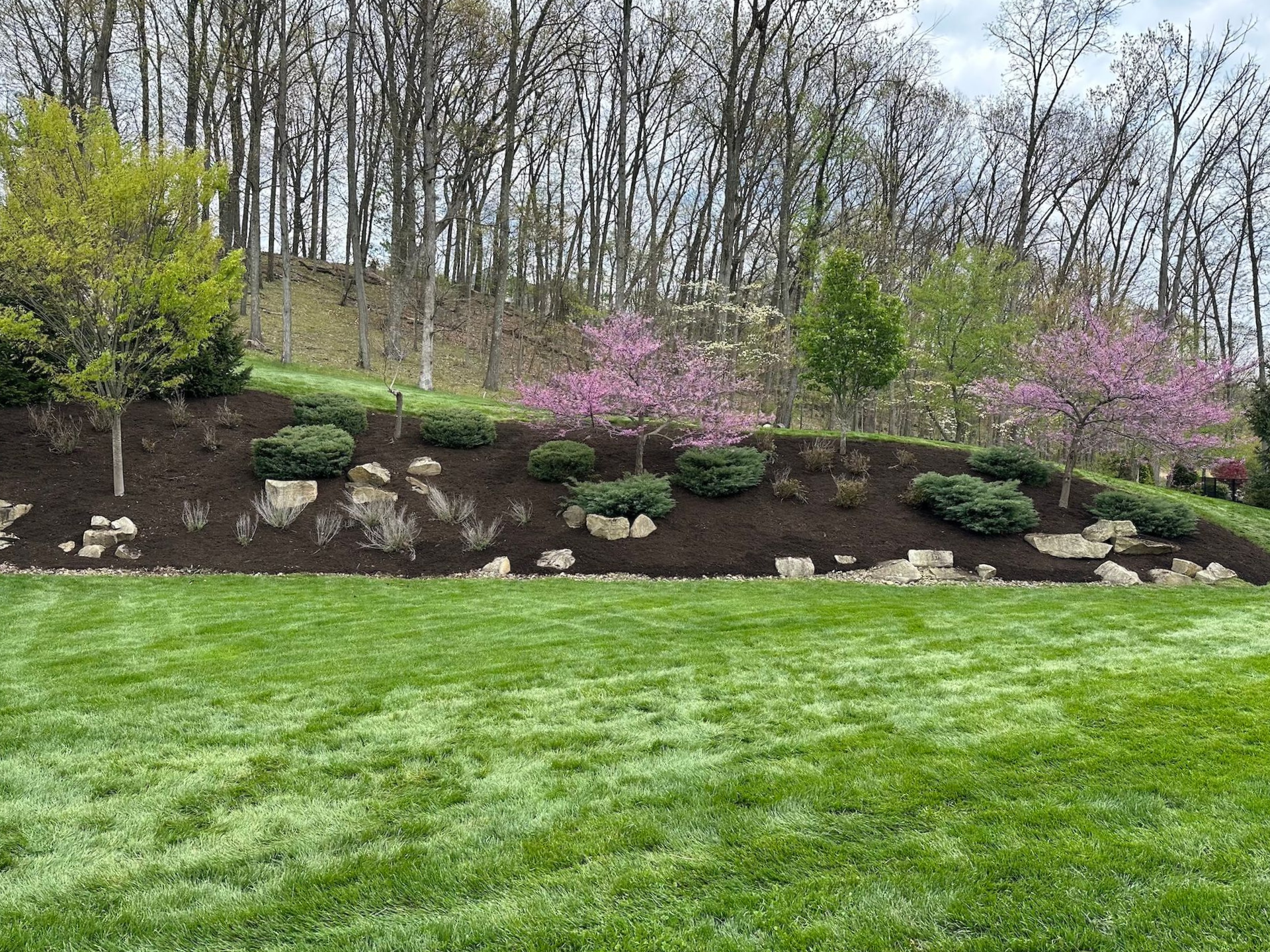 Landscaped hillside with blooming pink shrubs, green grass, and a line of bare trees behind.