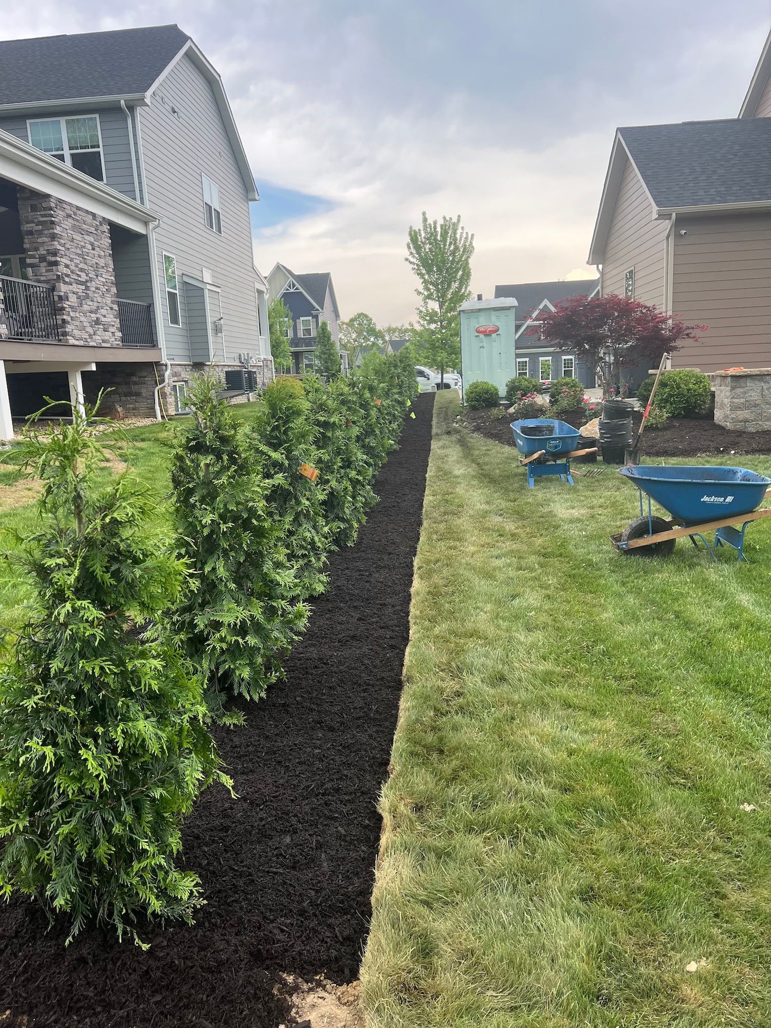 New landscaped front yard with shrubs, mulch bed, and lawn in a suburban neighborhood