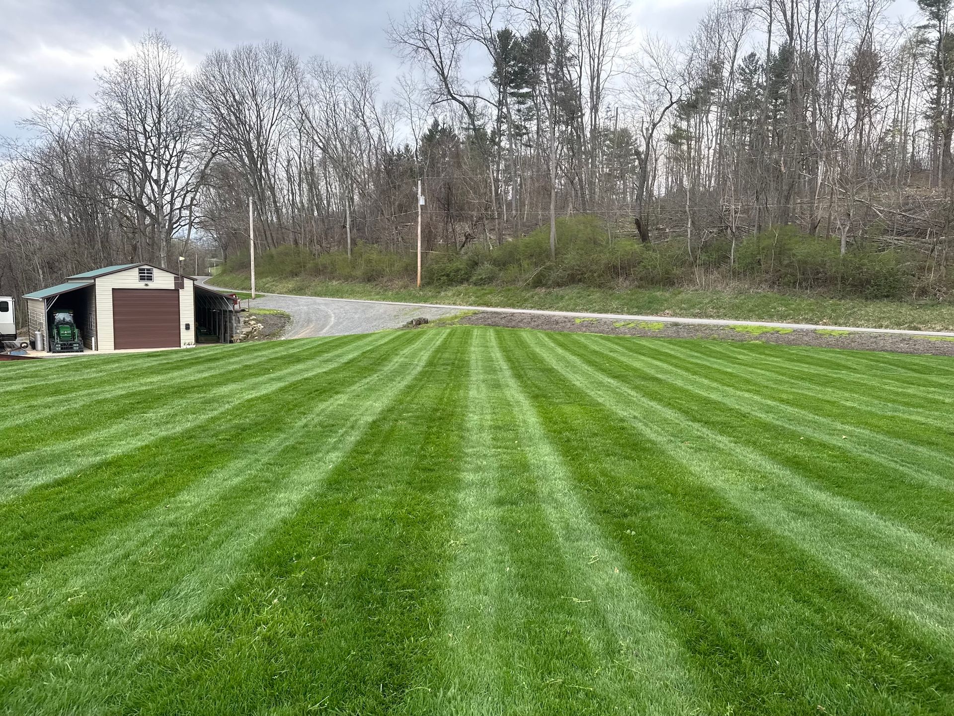 Striped green lawn in front of a small shed, with leafless trees and cloudy sky beyond.